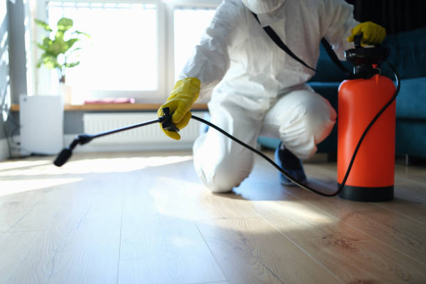 Trusted Sewage Cleanup service in Florence, OR - Four Month Blood Cleanse